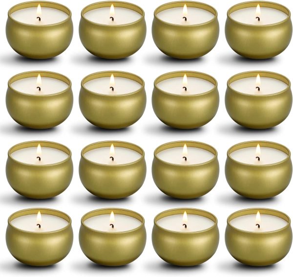 Scented Candles Gifts Set,16 Pack Natural Soy Wax Travel Tin Jar Candles for 2.5 OZ Aromatherapy Candles for Family Gatherings, Festive Candles